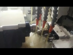 sm205 ชนิดสวิส